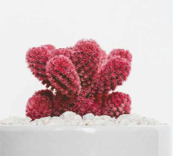 ddos攻击测试工具